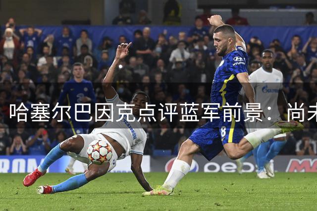 哈塞尔巴因克点评蓝军前景：尚未具备英超夺冠实力